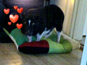 Dypt forelsket i en pute her.