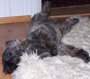 Relativt avslappa fyr!