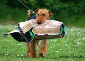 Tibeta von Erikson - mor til min kommende... 