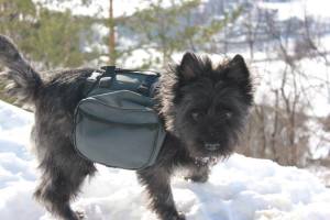 10170891_10152486038625980_5239709359676920949_n