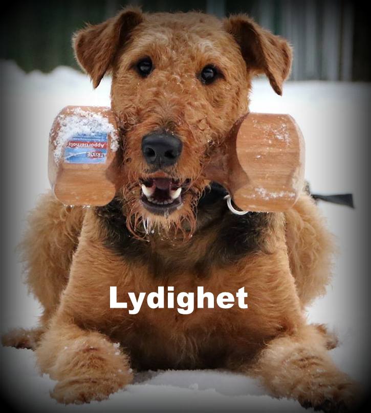 LYDIGHET