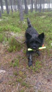 Emilsen leverer varene han, sånn nesten hver gang..