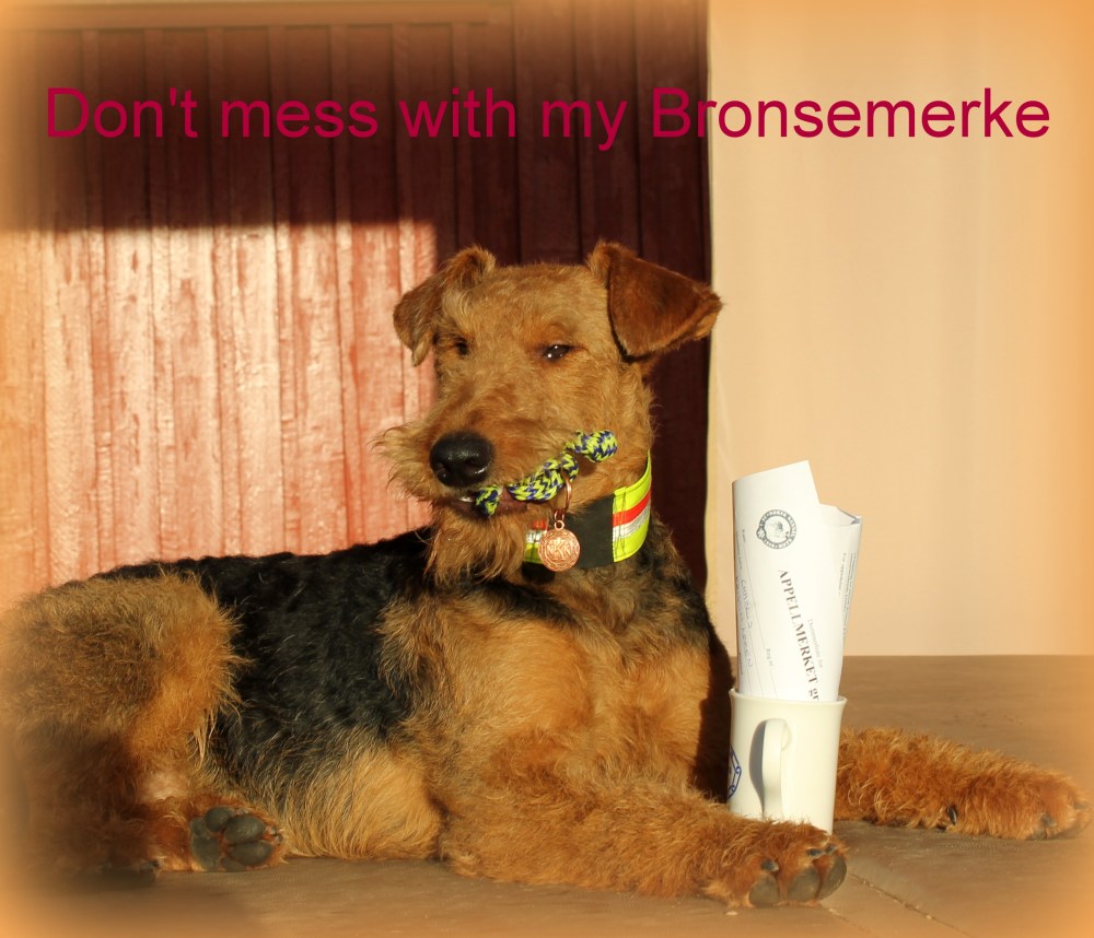 Yngste Bronsemerketaker