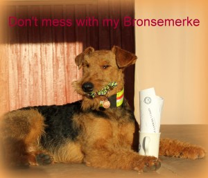 Yngste Bronsemerketaker