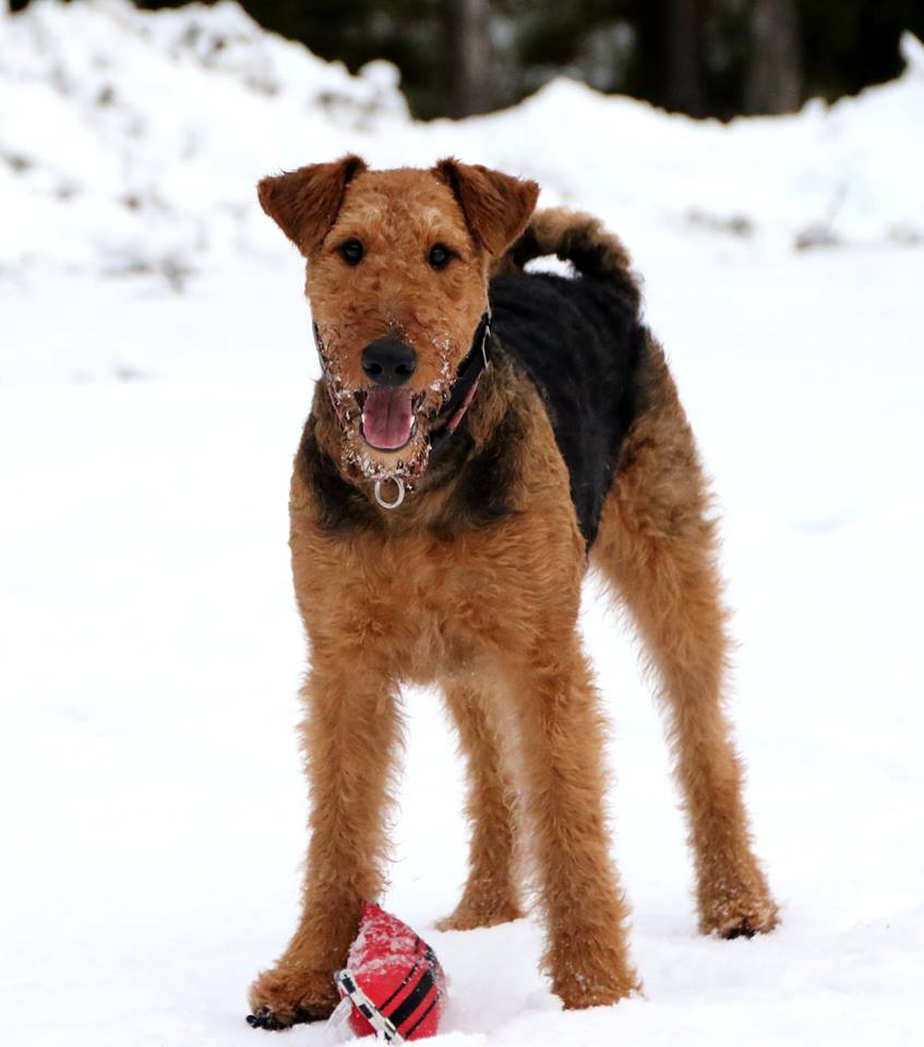 11006092_521632111313053_1746100353_n