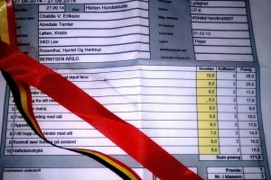 10517948_10152456569795980_324968504511430821_n