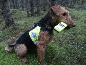 10556259_771298156291091_1926818549344362885_n(1)