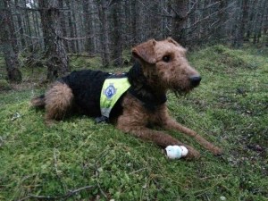 1902949_771298289624411_1292775406141386839_n