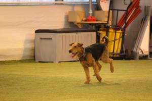 10915072_764904123603301_5675759004633630291_o