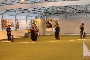 10949707_764903876936659_4140386211738494016_o