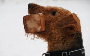 11003236_521632164646381_1897180482_o