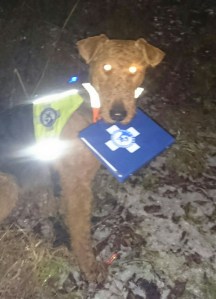 Nok et kryss i boka på vei mot å bli en ordentlig redningshund....