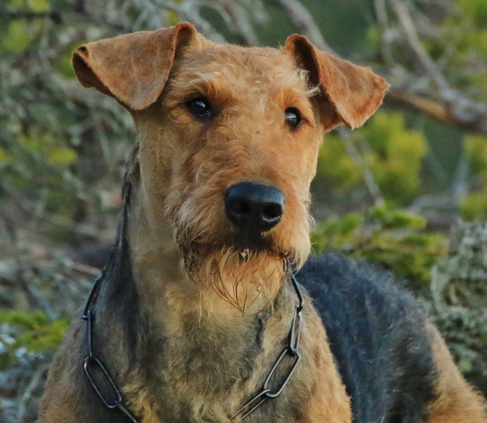 12787300_670130096463253_147529703_o