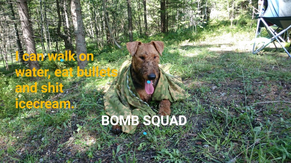 sketch-1438361464909