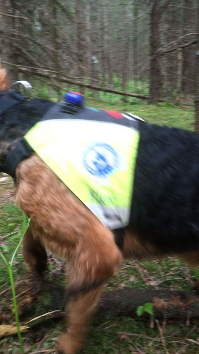 received_1151491104881867