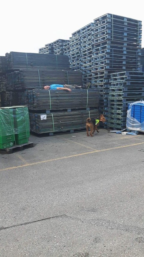 13882373_10153795343400980_8315962493508043204_n