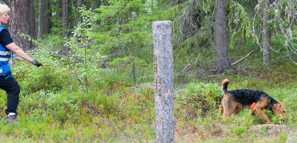 10483941_10152333091531638_8106145967708411148_o-2