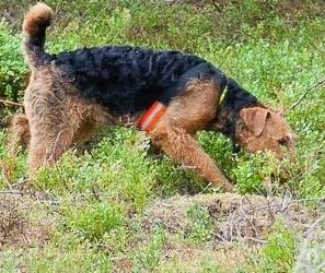 10483941_10152333091531638_8106145967708411148_o-4