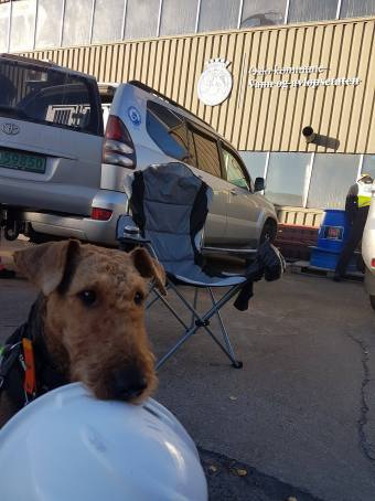 14678061_10153965049280980_1264310573_o