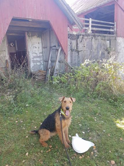 14689866_10153965050490980_1917017732_o