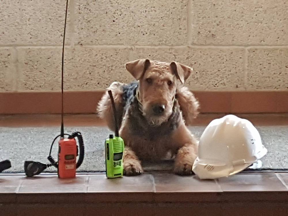 14724048_10153965051895980_1815263948_o