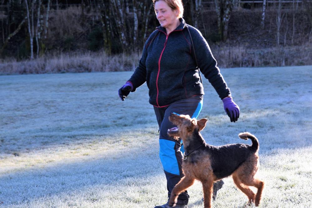 23511436_10154852279712274_2048697825552279819_o