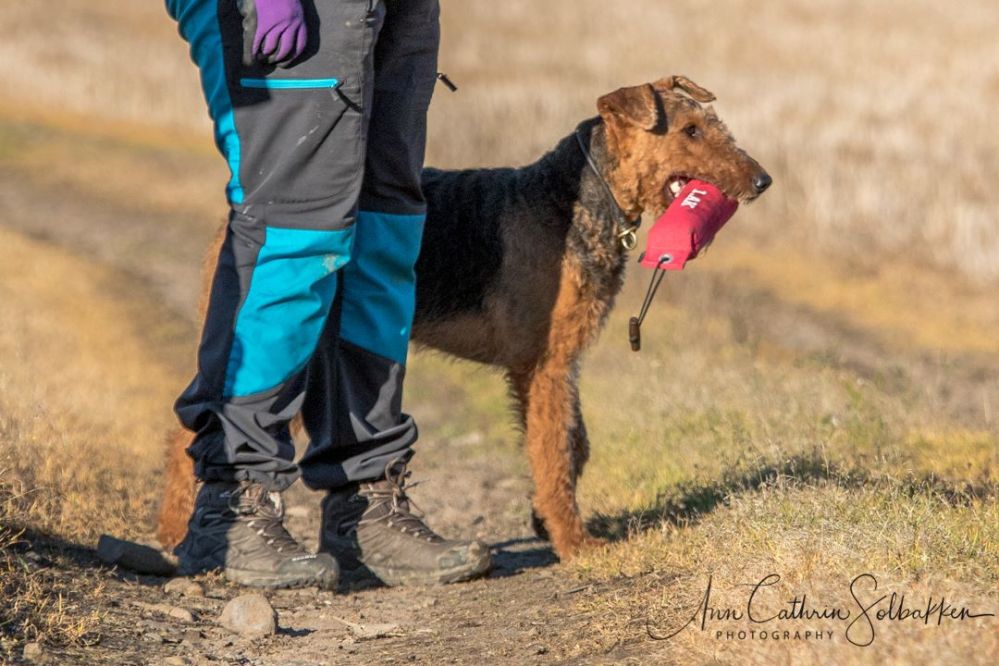 23158114_10154775636567251_2141845459_o(1)