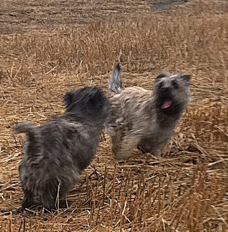 Facebook-20160420-091301