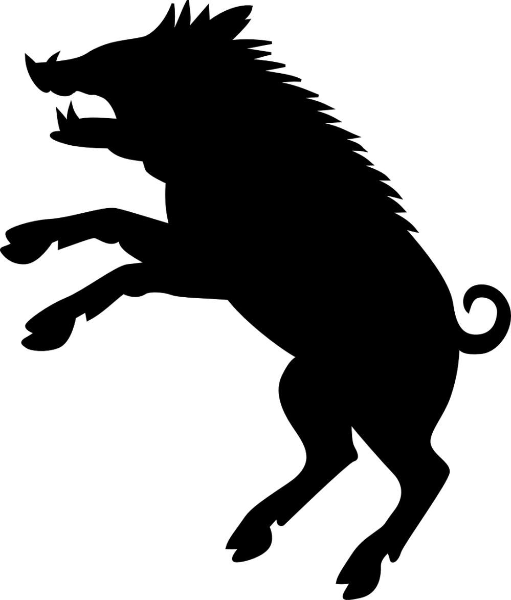boar-304954_1280