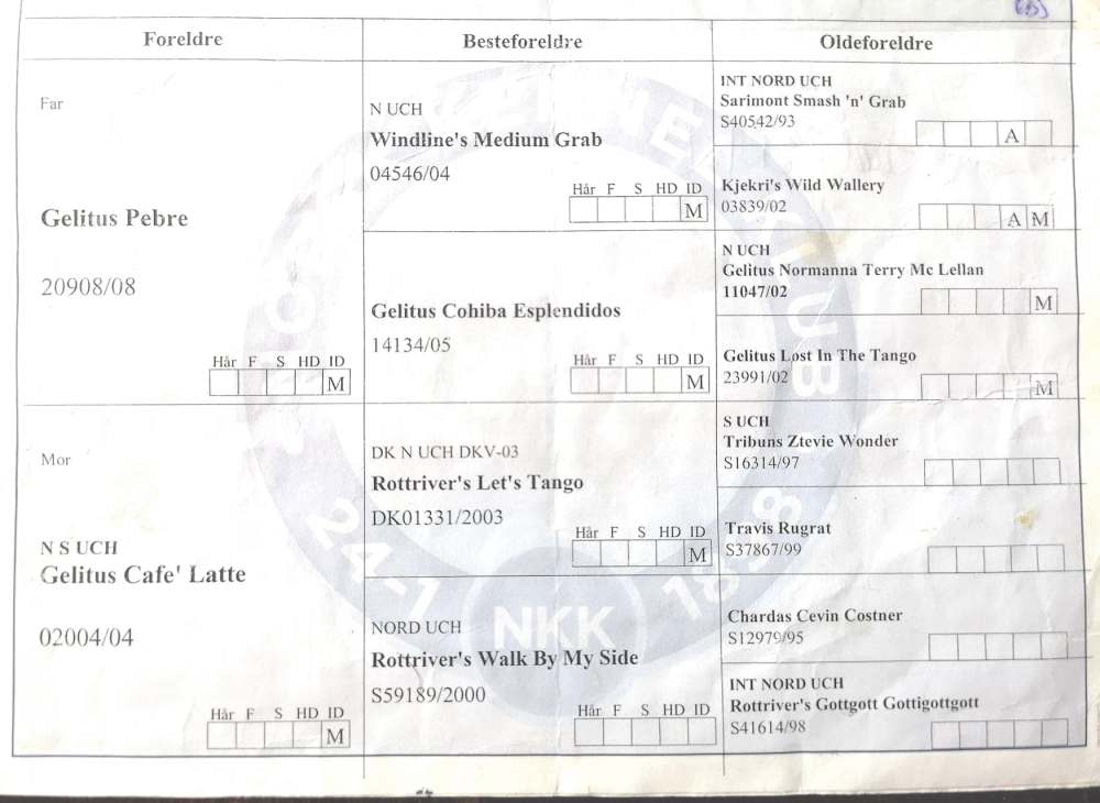Stamtavle Emil og Ronja