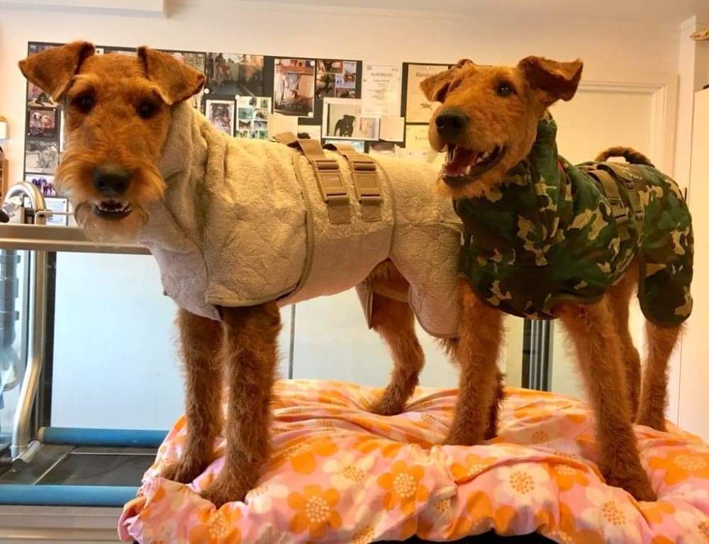 received_647796002390238