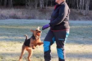 23592143_10154852276157274_7938276123236291962_o