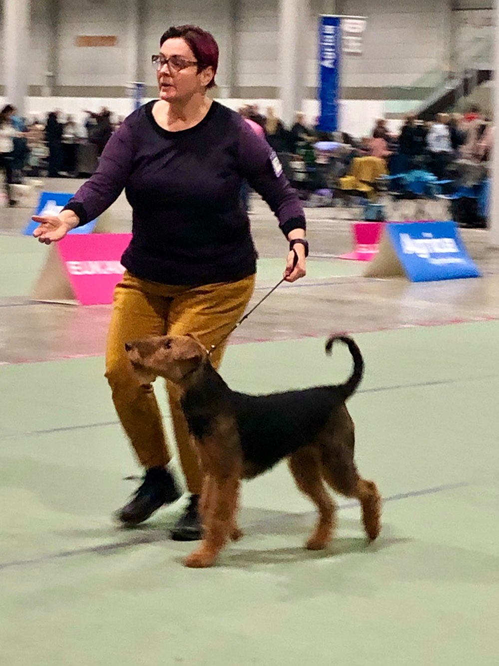 70332566_409088273371935_8218293782001483776_n