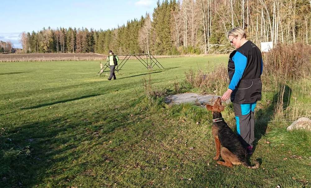 FB_IMG_1540924145130